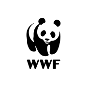 logowwf